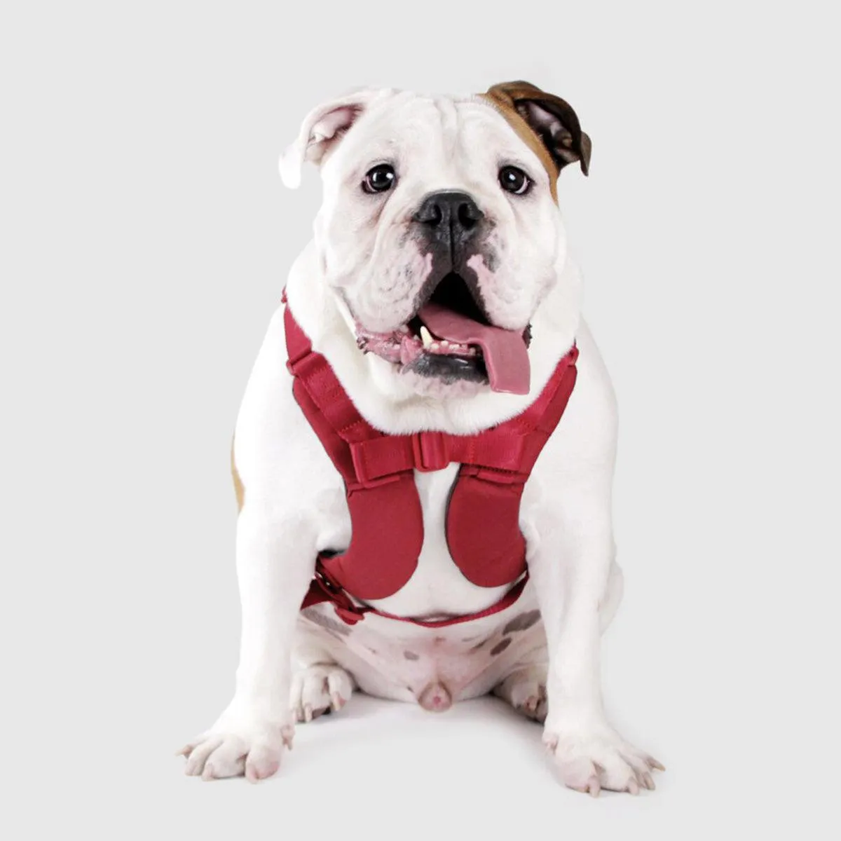 Explore| Adjustable Harness with Leather Red