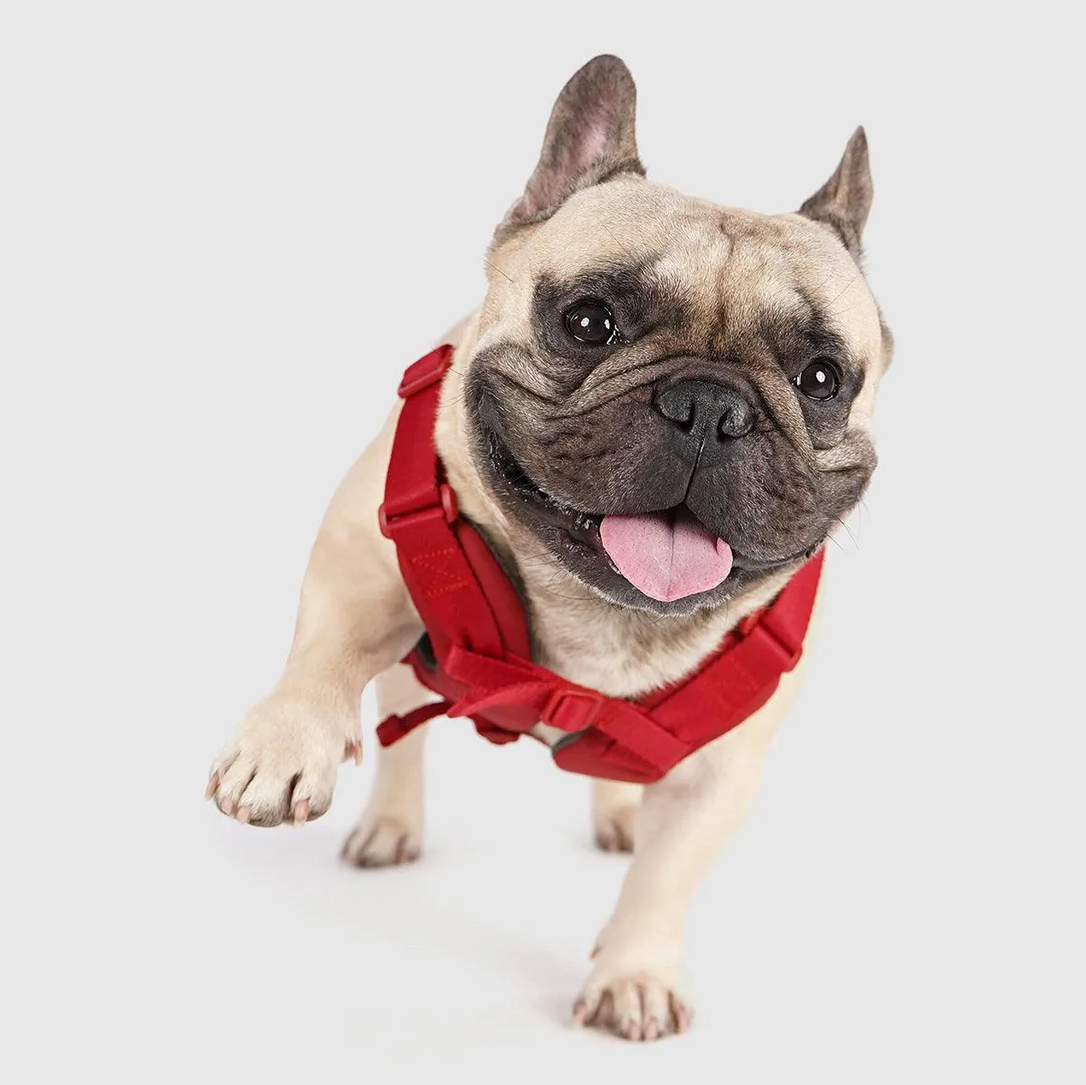 Explore| Adjustable Harness with Leather Red