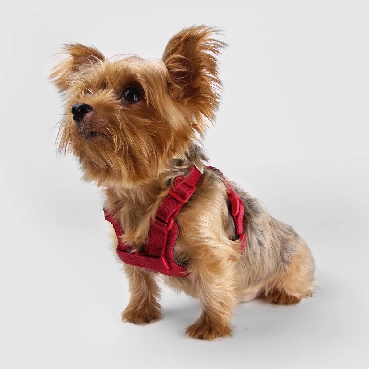 Explore| Adjustable Harness with Leather Red