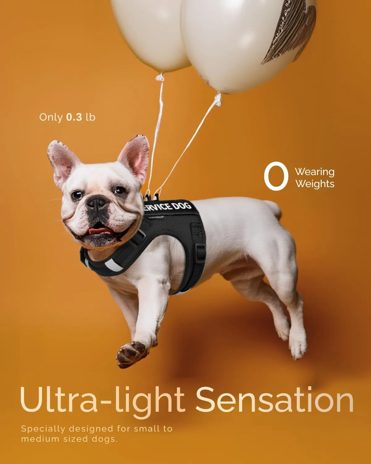 FAYOGOO Service Dog Vest for Small Dogs - Air Mesh Breathble Emotional Support Animal Vest with DIY Removable Patches - Puppy Harness and Leash Set Adjustable Neck and Chest