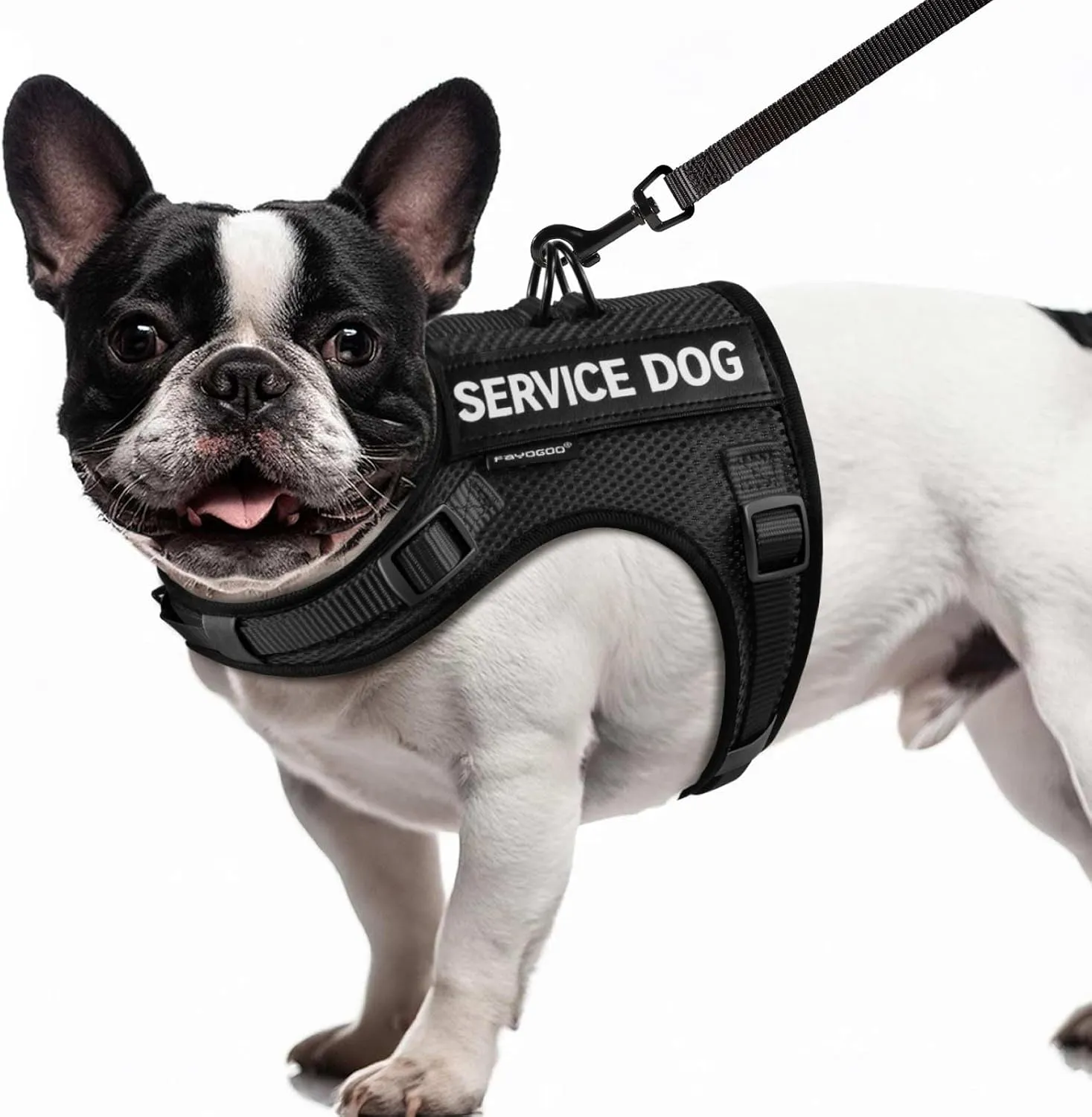 FAYOGOO Service Dog Vest for Small Dogs - Air Mesh Breathble Emotional Support Animal Vest with DIY Removable Patches - Puppy Harness and Leash Set Adjustable Neck and Chest