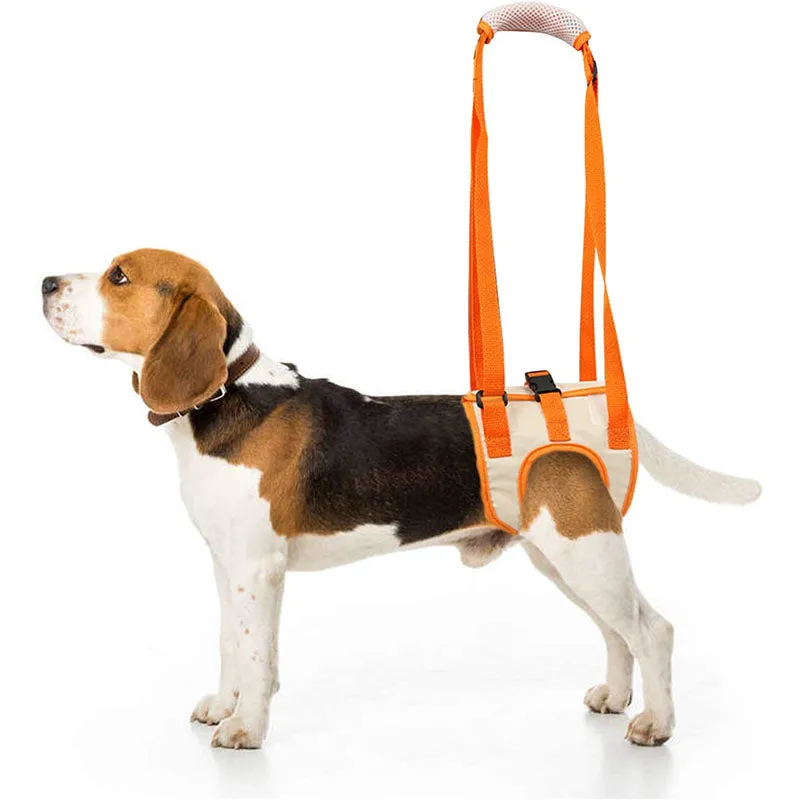 FlexiTrek™ | Effective Support for Quick Recovery