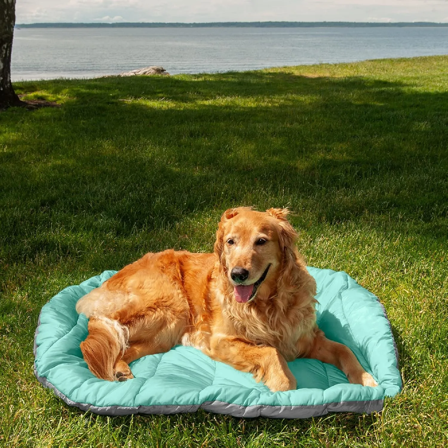 Furhaven Outdoor Travel Dog Bed for Large/Medium Dogs w/ Carry Bag, Washable & Foldable, Great for Crates & Kennels - Trail Pup Travel Pillow Mat w/ Stuff Sack Bag - Aqua/Granite Gray, Large