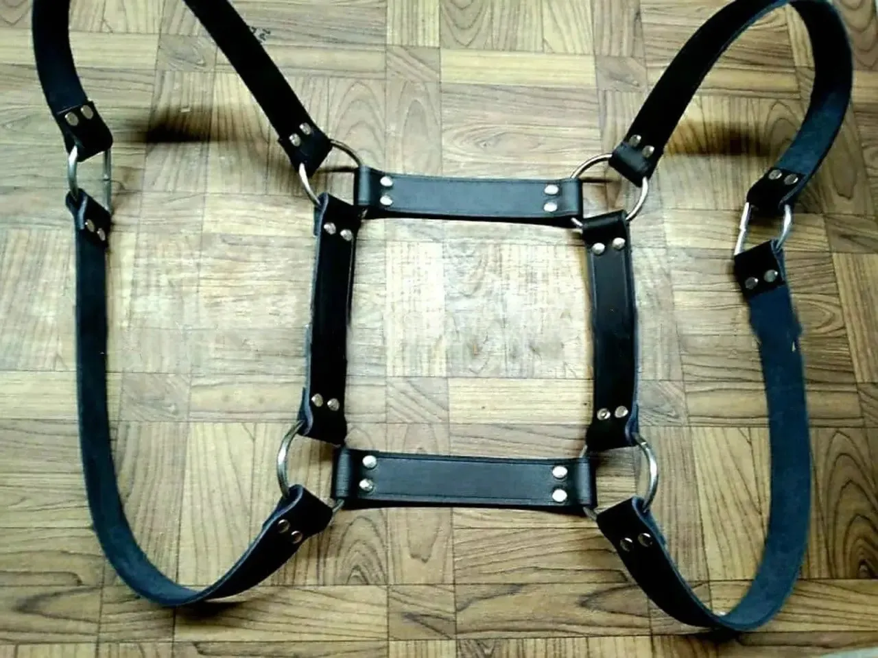 Gay Bear Harness