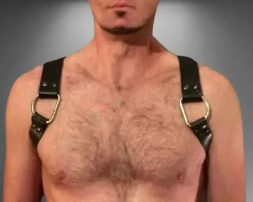 Gay Bear Harness