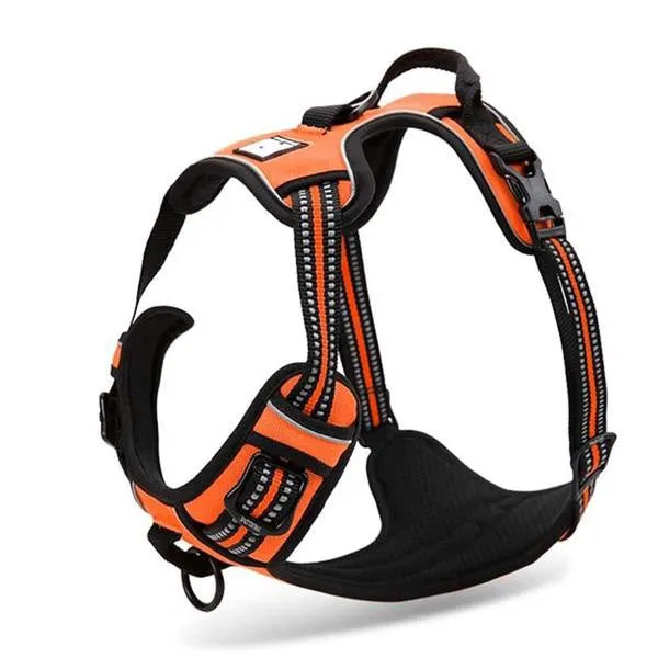 Glo-Dog™ Harness