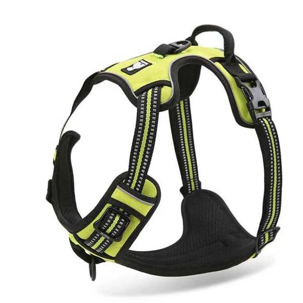 Glo-Dog™ Harness