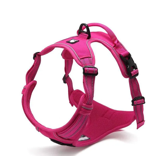 Glo-Dog™ Harness