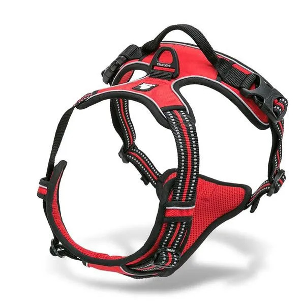 Glo-Dog™ Harness