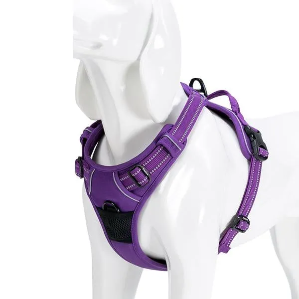 Glo-Dog™ Harness