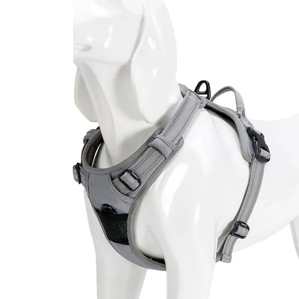 Glo-Dog™ Harness