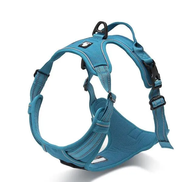Glo-Dog™ Harness