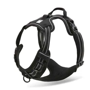 Glo-Dog™ Harness