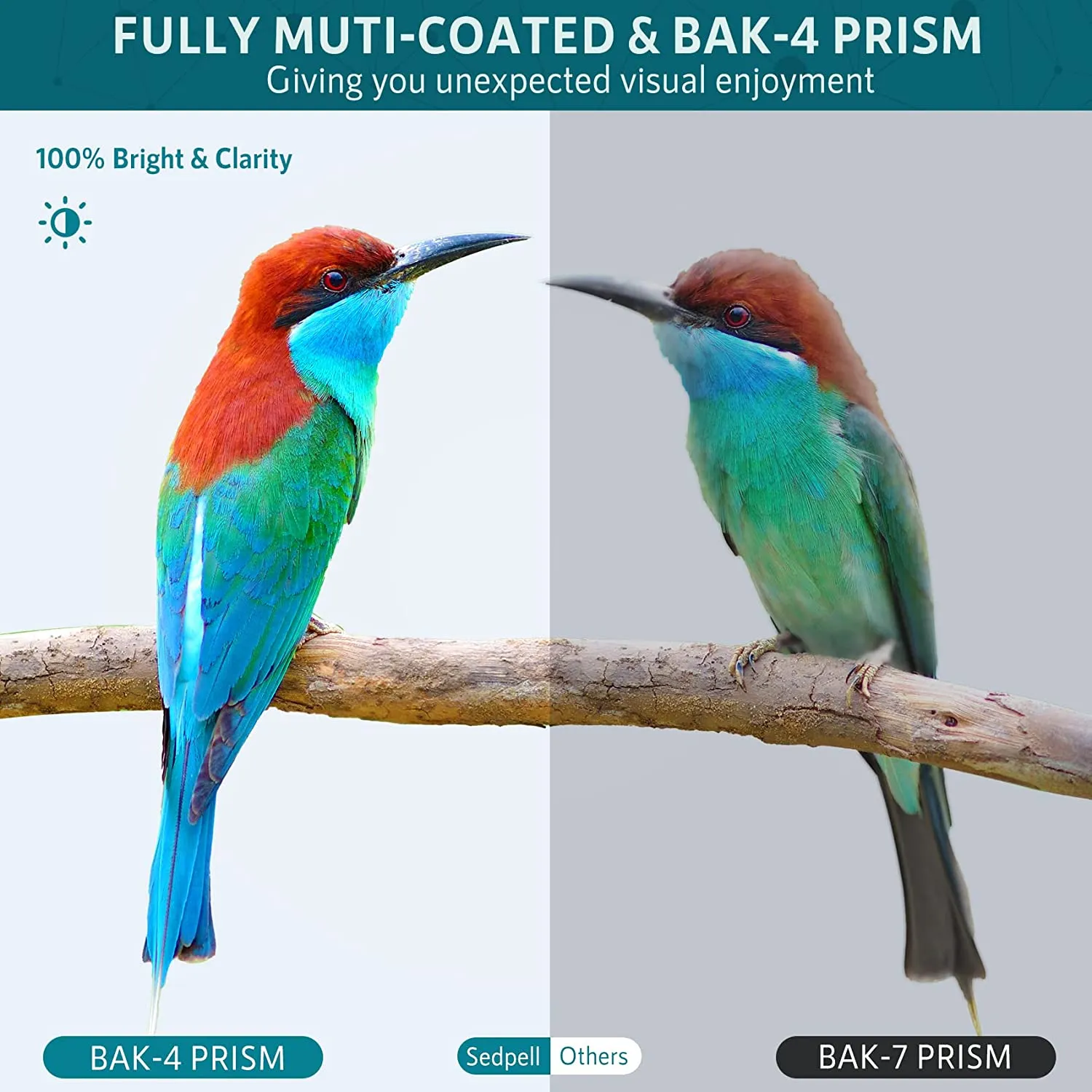 High Power Binoculars with BaK4 prisms, IPX7 Waterproof with Phone Adapter