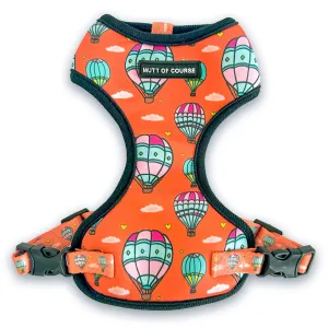 Hot Air Balloon Vest Harness For Cats