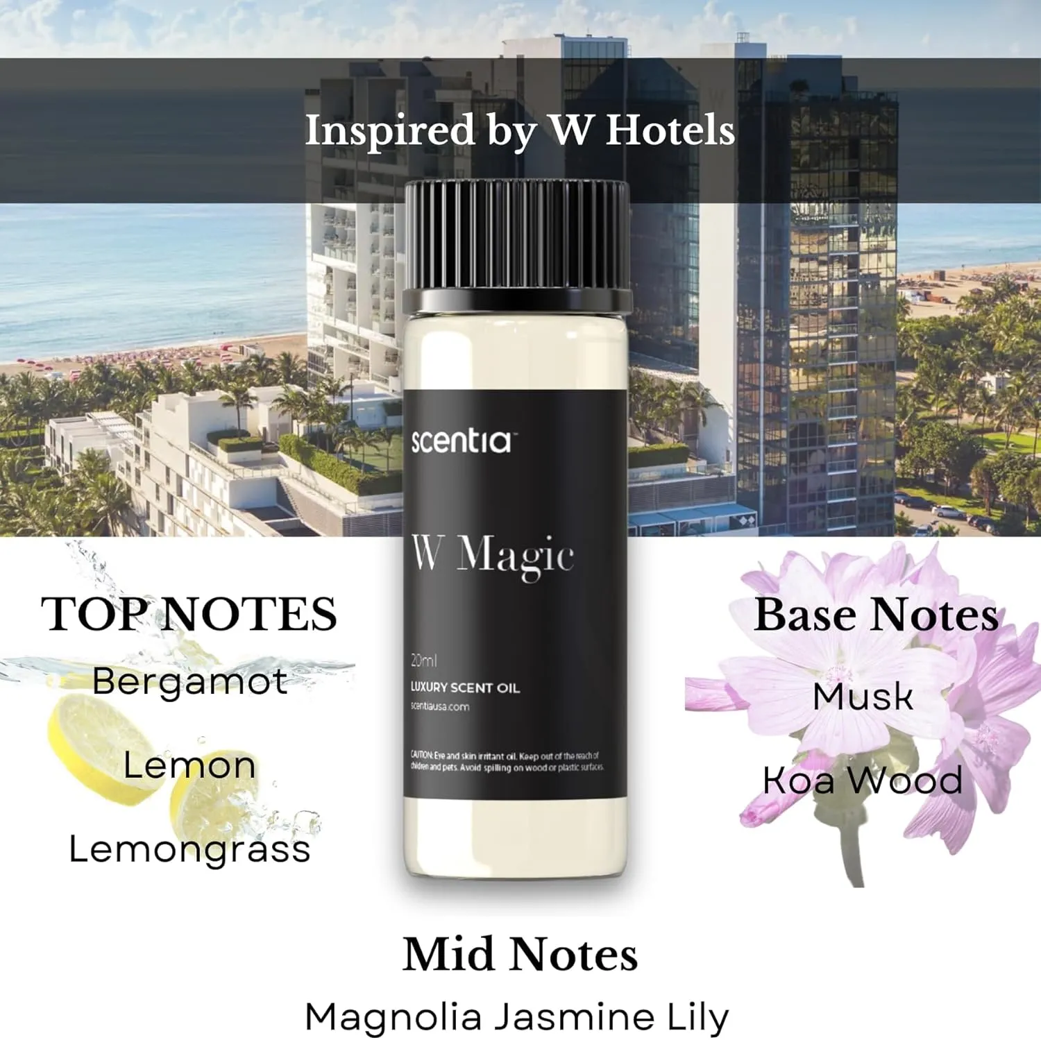Hotel Diffuser Oil | Aromatherapy Fragrances Inspired by 5-Star Hotels | Luxurious Scents Gift Set - 3 x 20ml Bottles Set - The 1 Hotel Miami, W Hotel, The Ritz Carlton