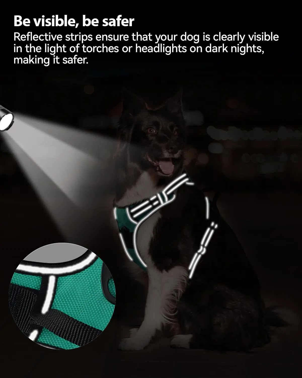 Joytale No Pull Dog Harness Medium Sized Dog, Reflective Pet Vest with Front Clip, Adjustable Soft Padded Harnesses with Easy Control Handle for Training and Walking, Teal, M