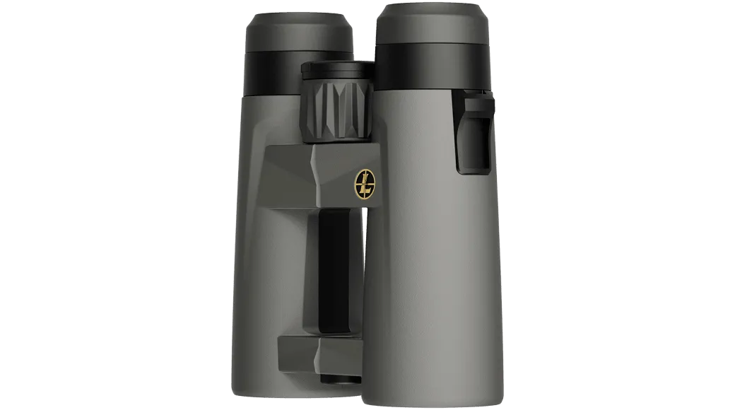 Leupold BX-4 Pro Guide HD 10x42 Roof Grey GEN 2