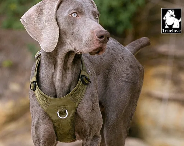 Lightweight Harness Army Green S For Dogs