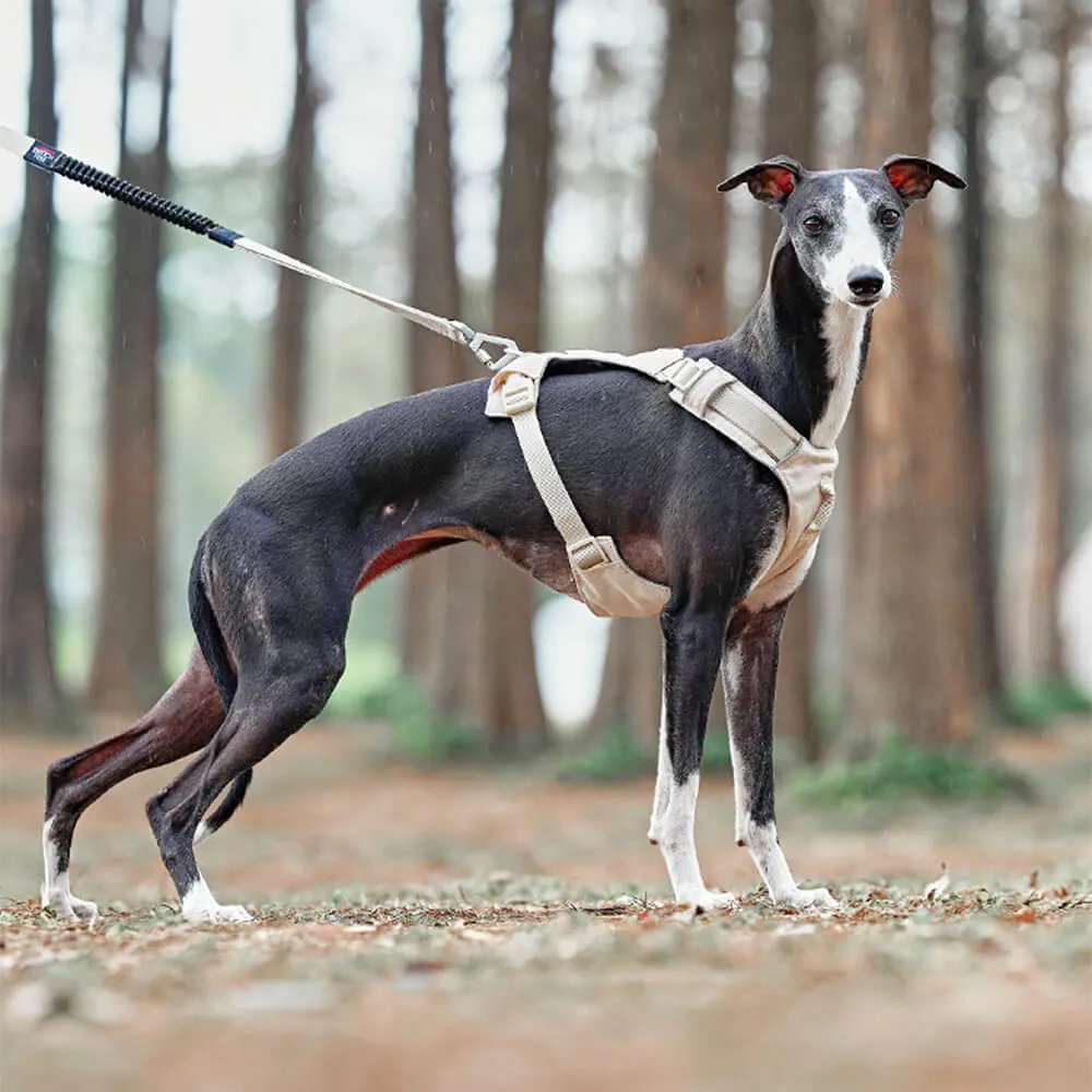 Lightweight Waterproof Breathable Anti-Pull Dog Harness or Multifunctional Leash