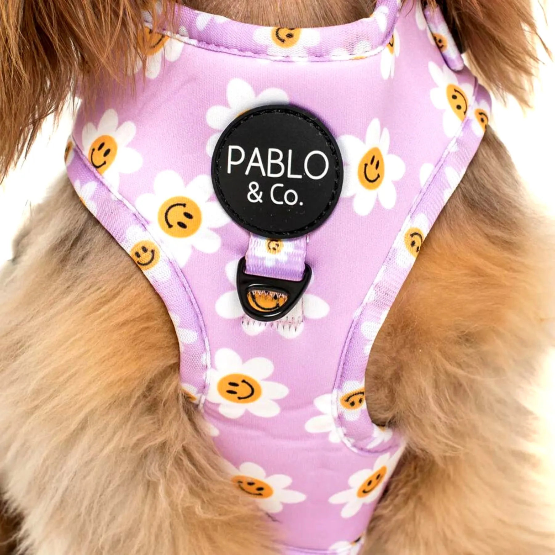Lilac Smiley Flowers Adjustable Dog Harness