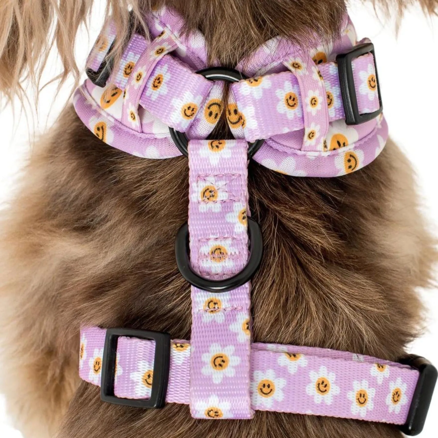 Lilac Smiley Flowers Adjustable Dog Harness