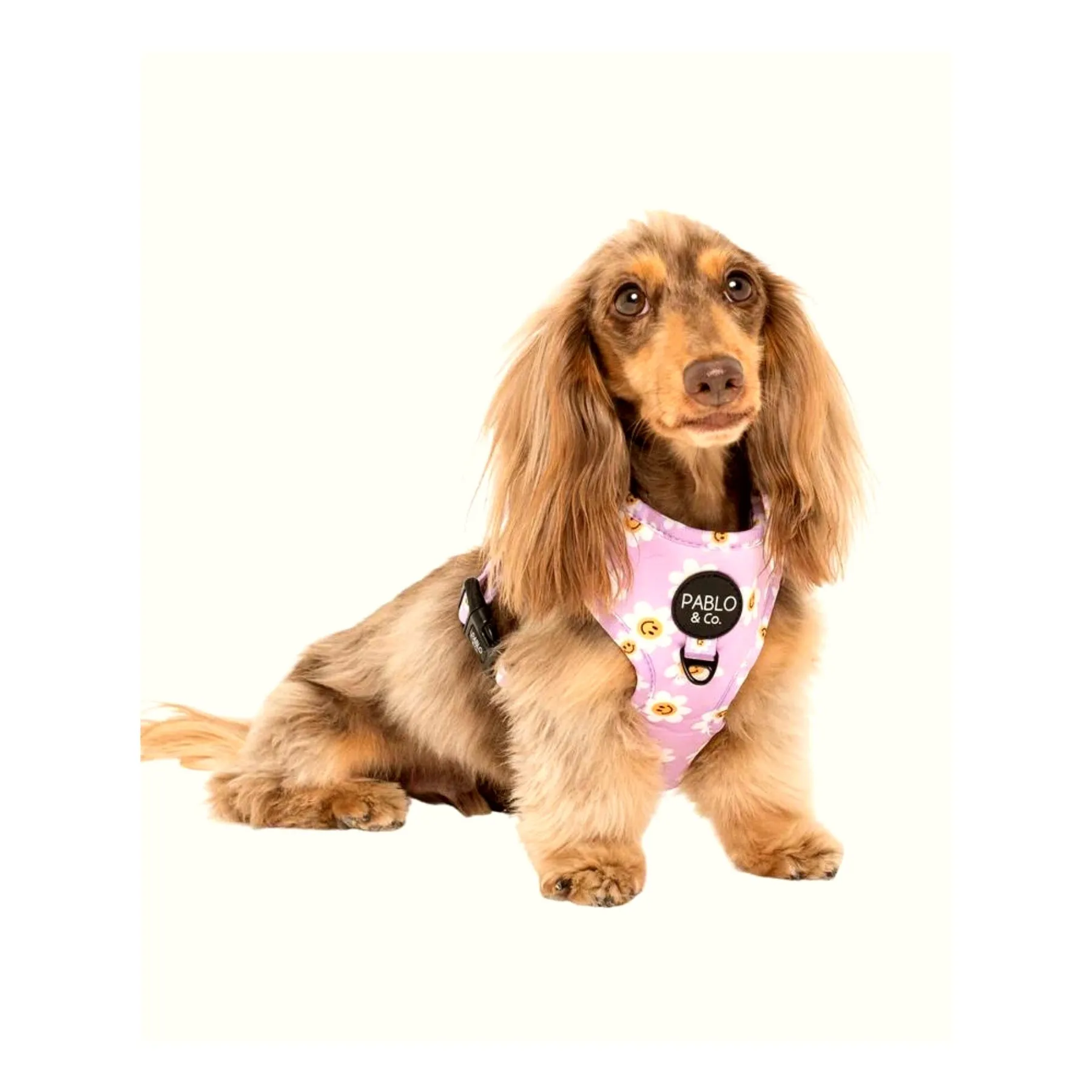 Lilac Smiley Flowers Adjustable Dog Harness
