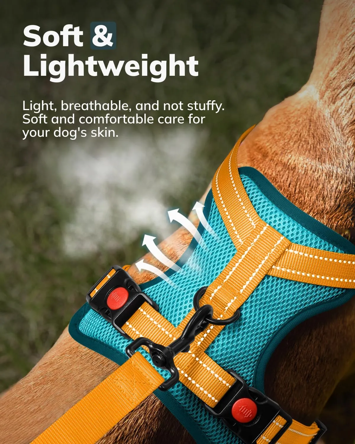 MIDOG No-Pull Dog Harness | Adjustable & Reflective Pet Harness Leash Set for Small Medium Large Dogs Walking, Training| No Choke, Front Clip, Soft Padded Vest with Easy Control Handle - Blue, M