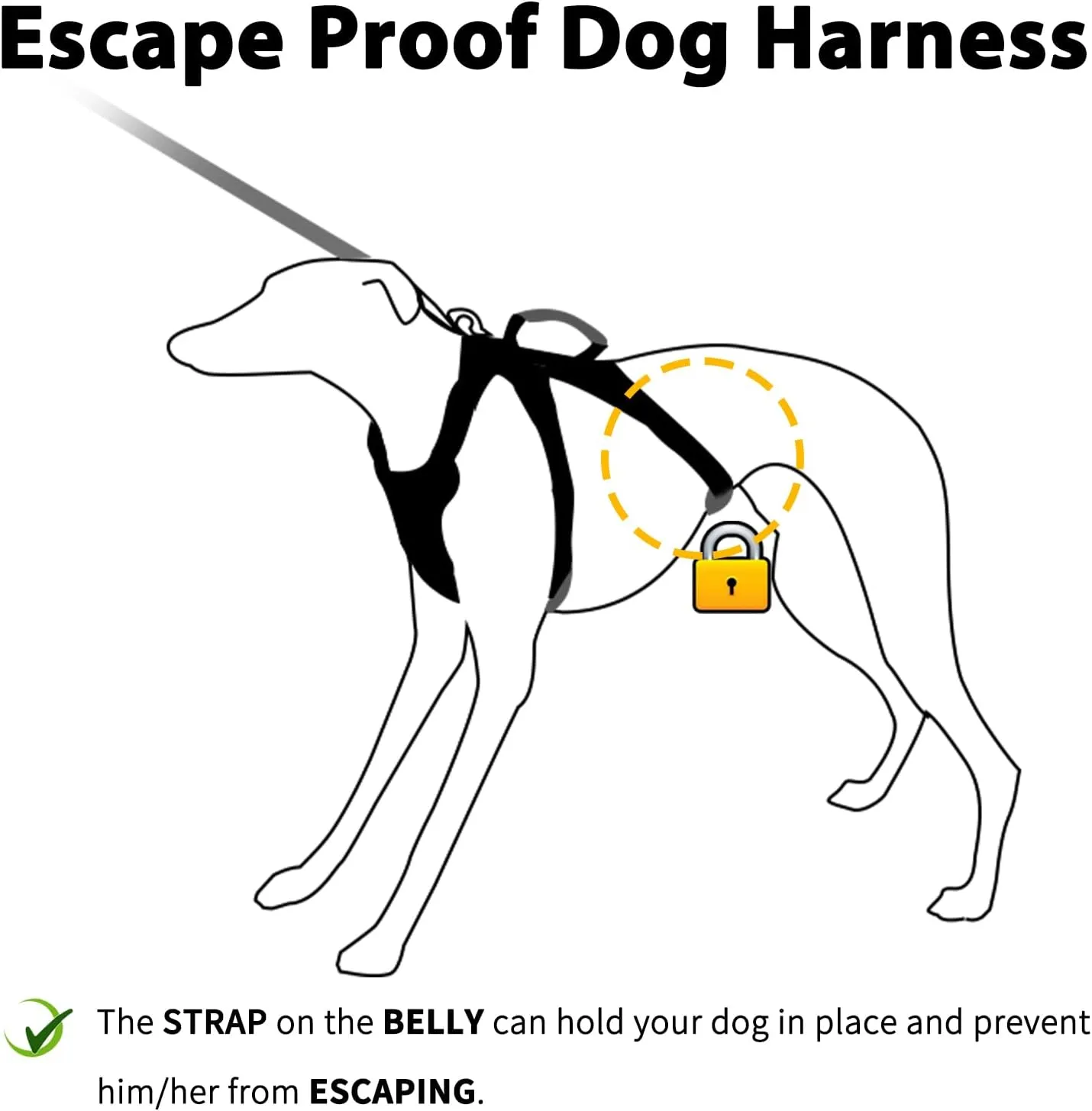 No Escape Dog Harness, Escape Proof Harness, Fully Reflective Harness with Padded Handle, Breathable, Durable, Adjustable Vest for Medium Dogs Walking, Training, and Running Gear (Teal,M)
