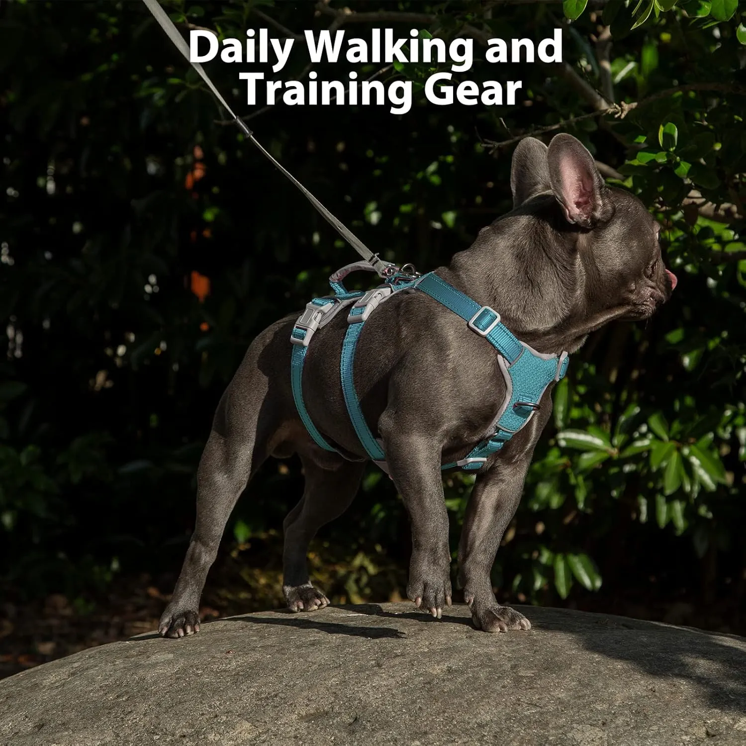 No Escape Dog Harness, Escape Proof Harness, Fully Reflective Harness with Padded Handle, Breathable, Durable, Adjustable Vest for Medium Dogs Walking, Training, and Running Gear (Teal,M)