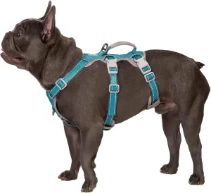 No Escape Dog Harness, Escape Proof Harness, Fully Reflective Harness with Padded Handle, Breathable, Durable, Adjustable Vest for Medium Dogs Walking, Training, and Running Gear (Teal,M)