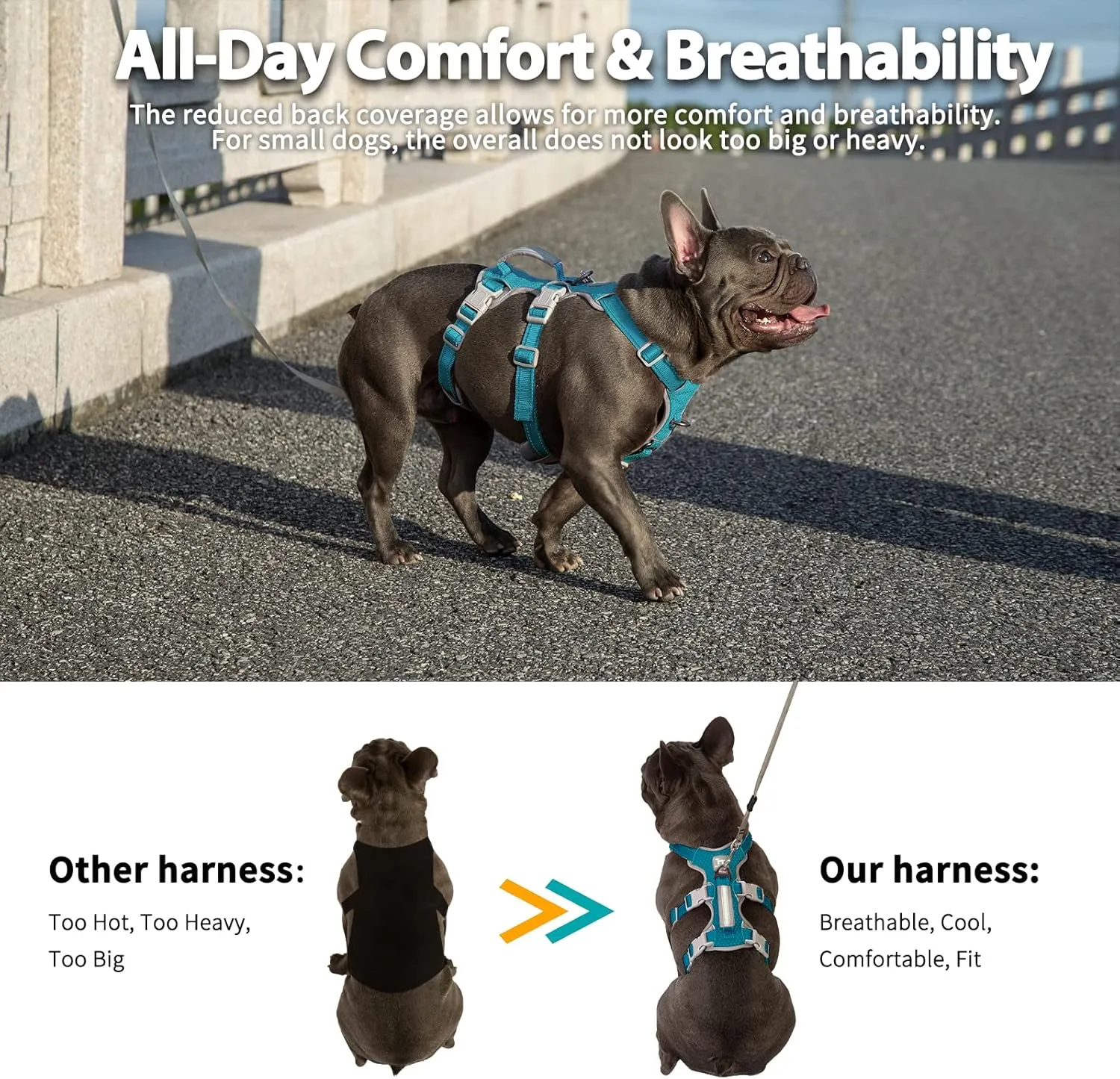No Escape Dog Harness, Escape Proof Harness, Fully Reflective Harness with Padded Handle, Breathable, Durable, Adjustable Vest for Medium Dogs Walking, Training, and Running Gear (Teal,M)