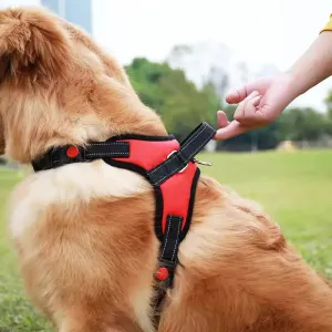 No Pull Harness Reflective Adjustable