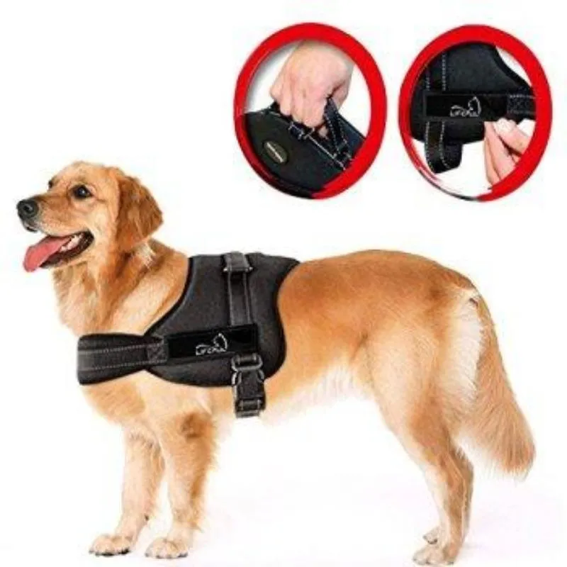 PERSONALIZED CUSTOM DOG HARNESS