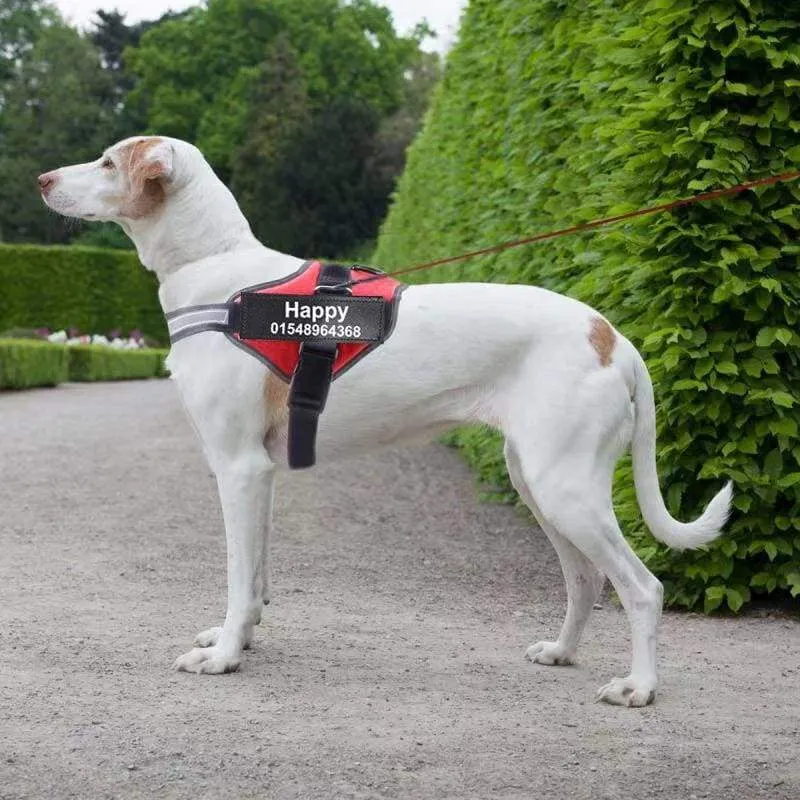 PERSONALIZED CUSTOM DOG HARNESS