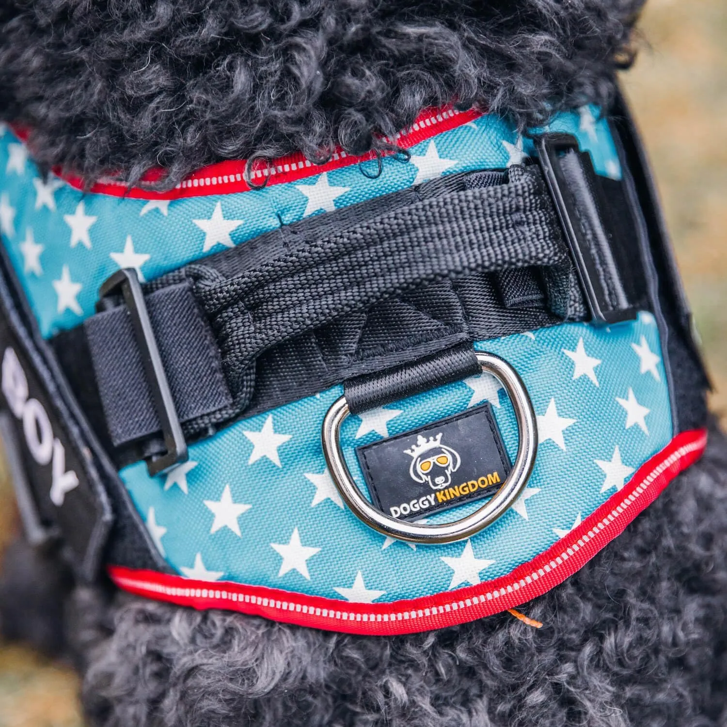 Personalized No-Pull Dog Harness with Name Patch, Adjustable, Reflective, Padded, Heavy Duty Pet Vest to Prevent Tugging, Pulling, or Choking, Training and Walking, Military Green, XS