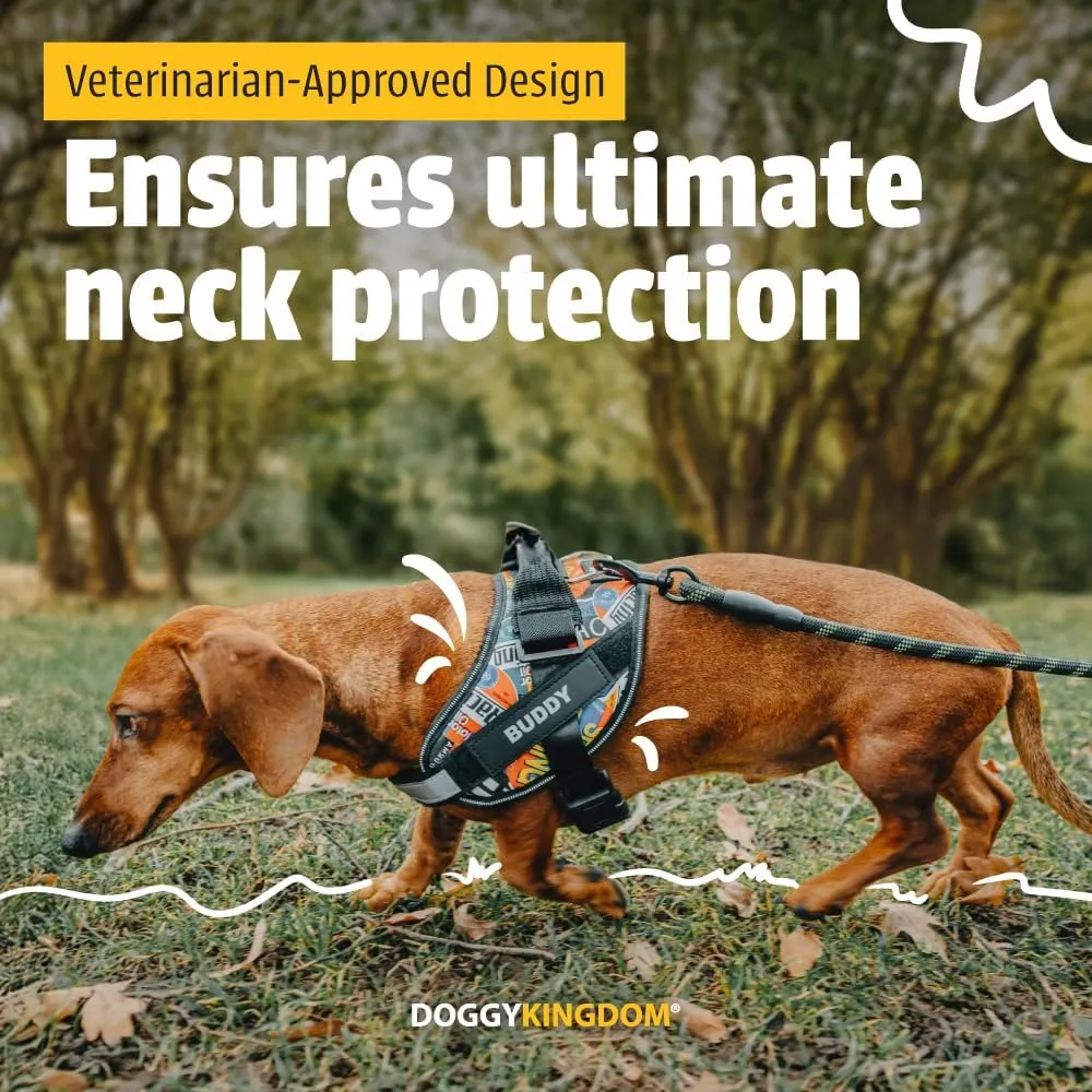 Personalized No-Pull Dog Harness with Name Patch, Adjustable, Reflective, Padded, Heavy Duty Pet Vest to Prevent Tugging, Pulling, or Choking, Training and Walking, Military Green, XS