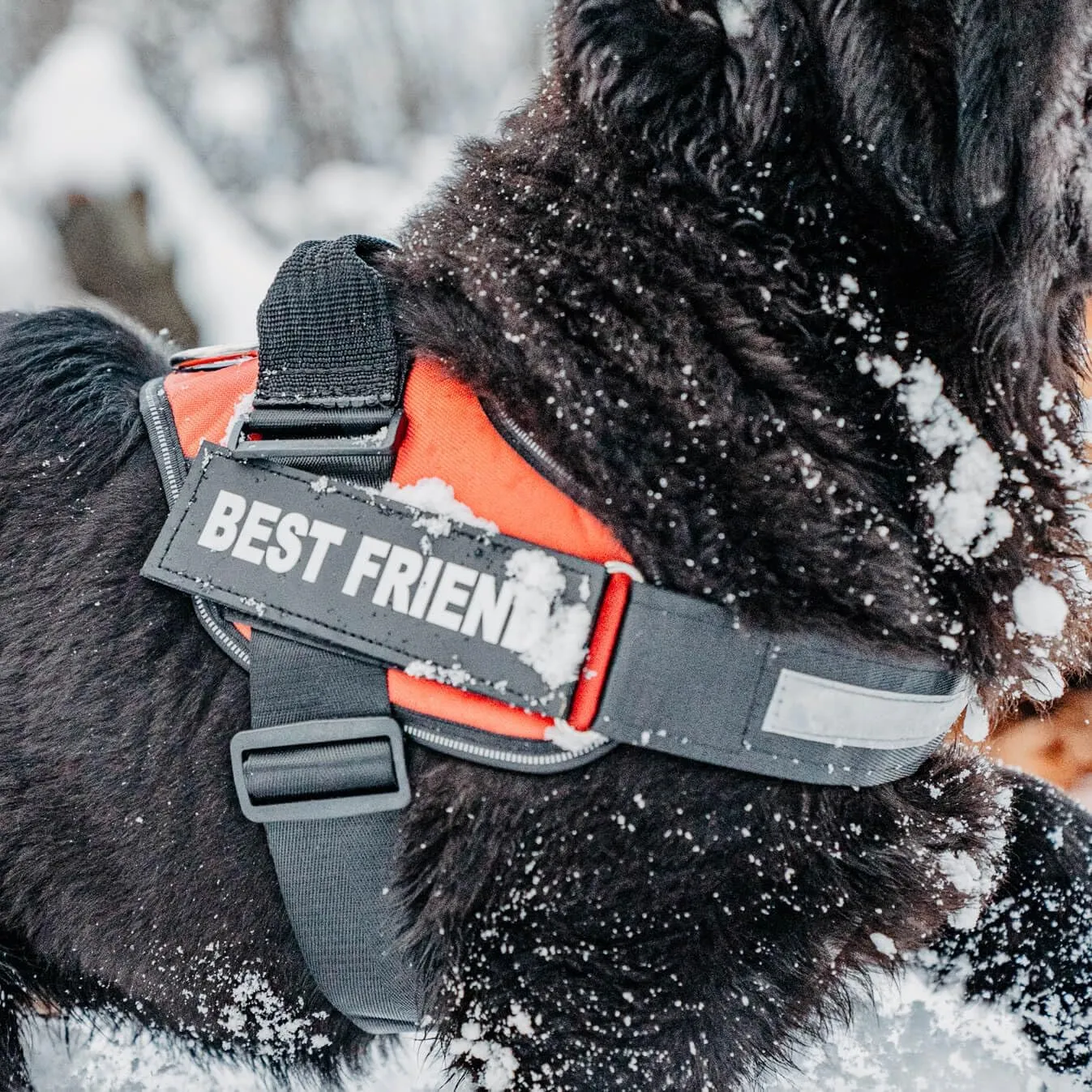 Personalized No-Pull Dog Harness with Name Patch, Adjustable, Reflective, Padded, Heavy Duty Pet Vest to Prevent Tugging, Pulling, or Choking, Training and Walking, Military Green, XS