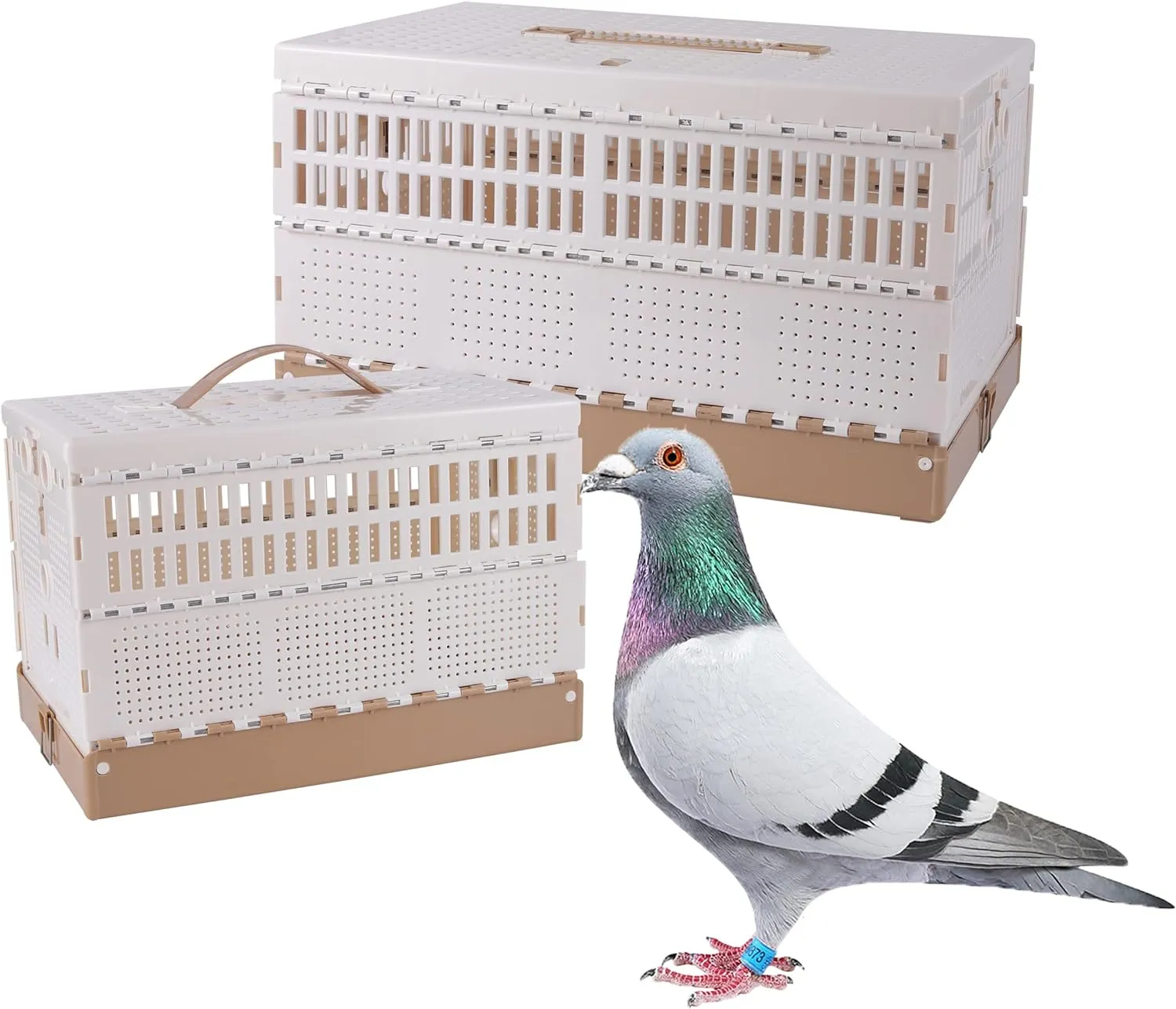 Plastic Foldable Pigeon Cage with Handle, Portable Bird Travel Carrier Cage Pigeon Cage Pairing Cage Pigeon Nest Box Easy to Clean for Training and Release Competition(M)(Three Doors)