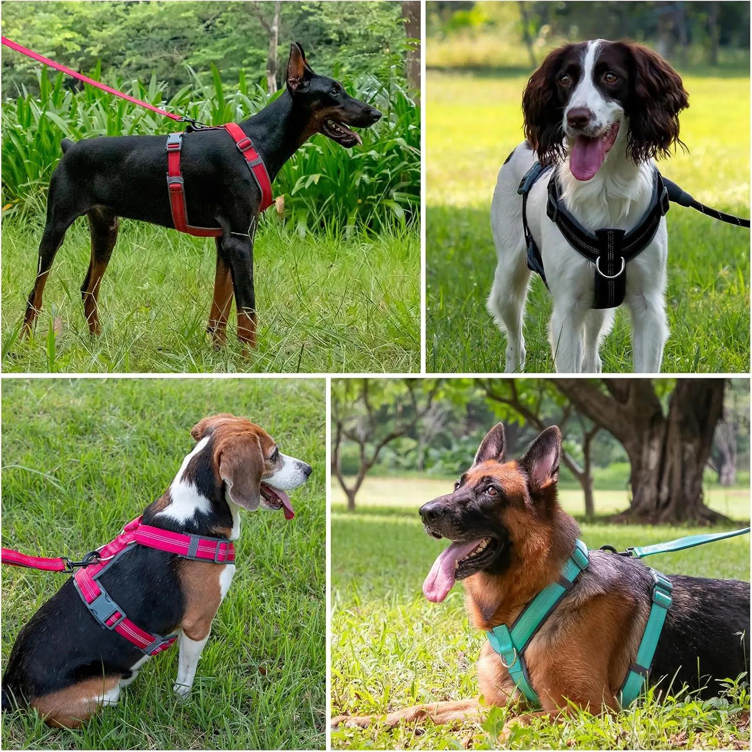 Plutus Pet No Pull Dog Harness, Adjustable Nylon Harness with Soft Padding, Reflective and Heavy Duty Dog Harness for Small, Medium, Large Dogs(Hot Pink, M)
