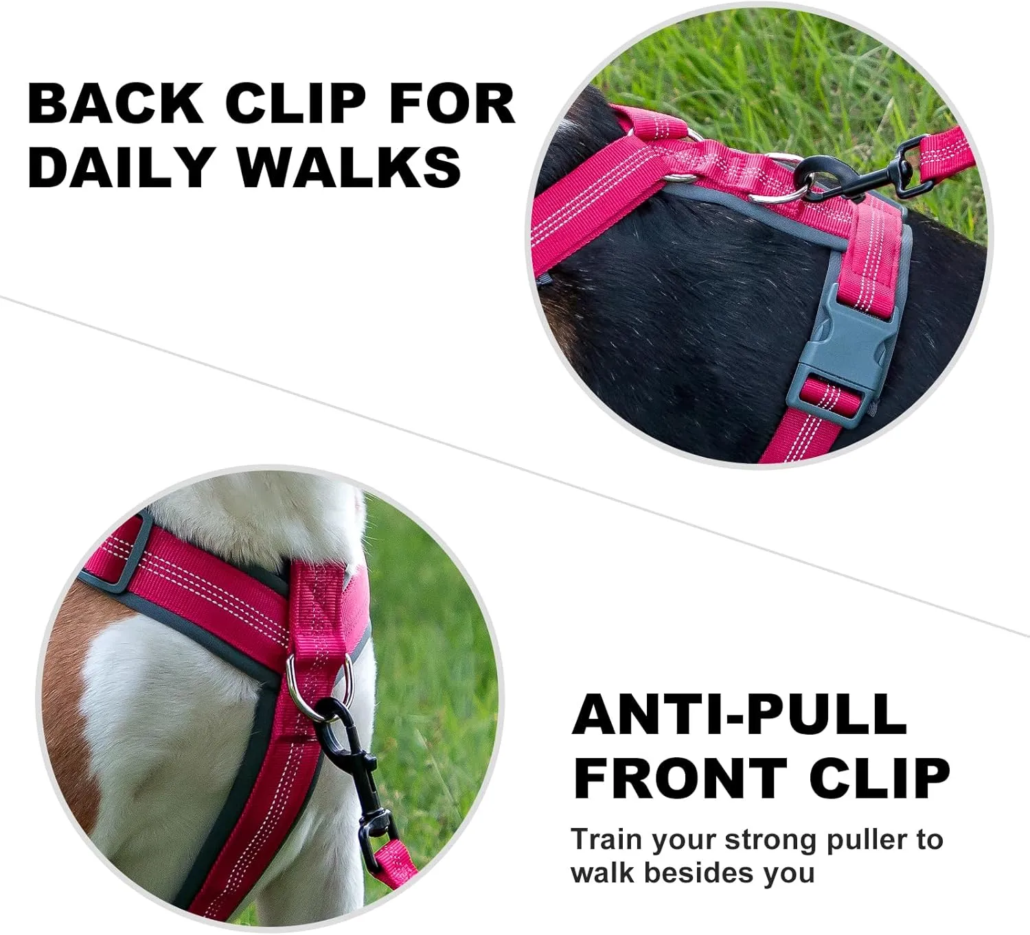 Plutus Pet No Pull Dog Harness, Adjustable Nylon Harness with Soft Padding, Reflective and Heavy Duty Dog Harness for Small, Medium, Large Dogs(Hot Pink, M)