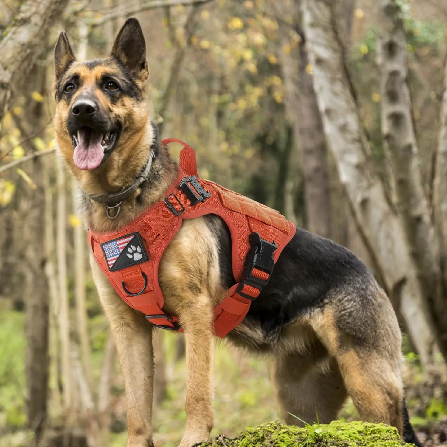 rabbitgoo Tactical Dog Harness for Large Dogs, Heavy Duty Dog Harness with Handle, No-Pull Service Dog Vest Large Breed, Adjustable Military Dog Vest Harness for Training Hunting Walking, Orange, M