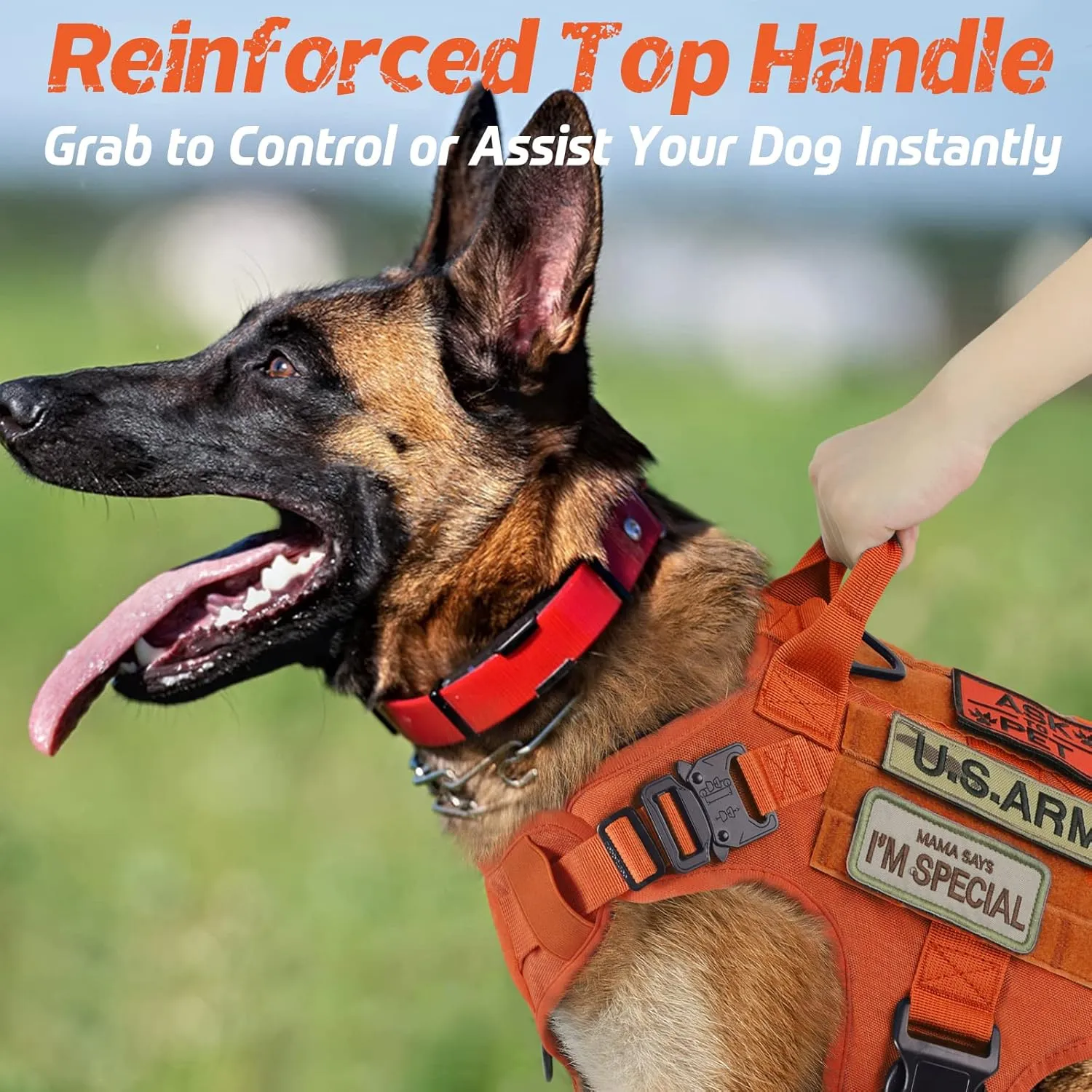 rabbitgoo Tactical Dog Harness for Large Dogs, Heavy Duty Dog Harness with Handle, No-Pull Service Dog Vest Large Breed, Adjustable Military Dog Vest Harness for Training Hunting Walking, Orange, M