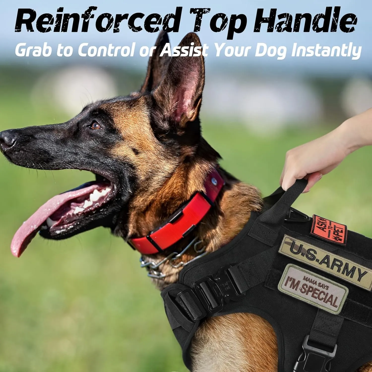 rabbitgoo Tactical Dog Harness for Large, Heavy Duty Pet Harness with Handle, No-Pull Service Vest Large Breed, Adjustable Military Dog Vest for Training Hunting Walking, Black, L