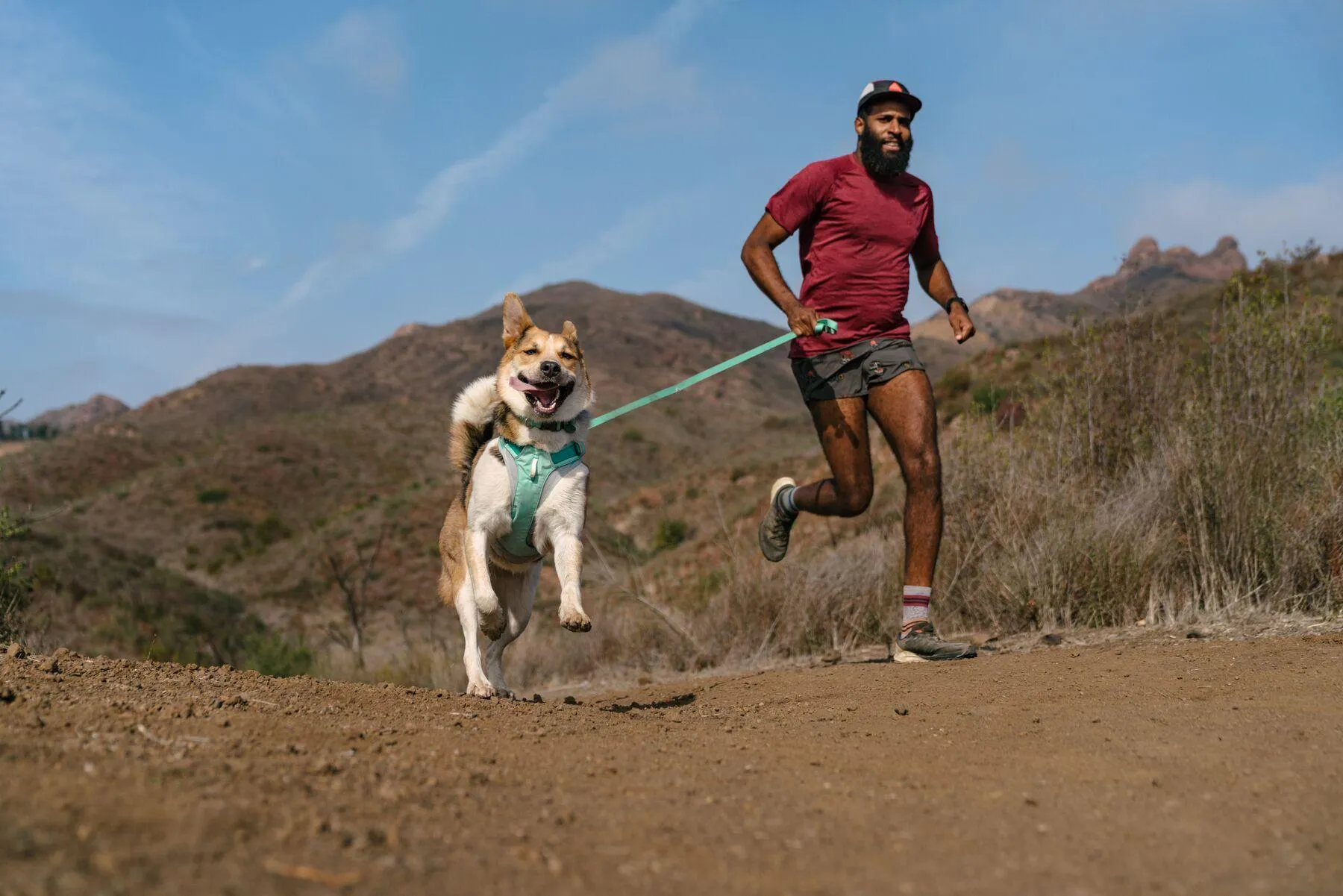 Ruffwear Hi & Light Harness Sage Green