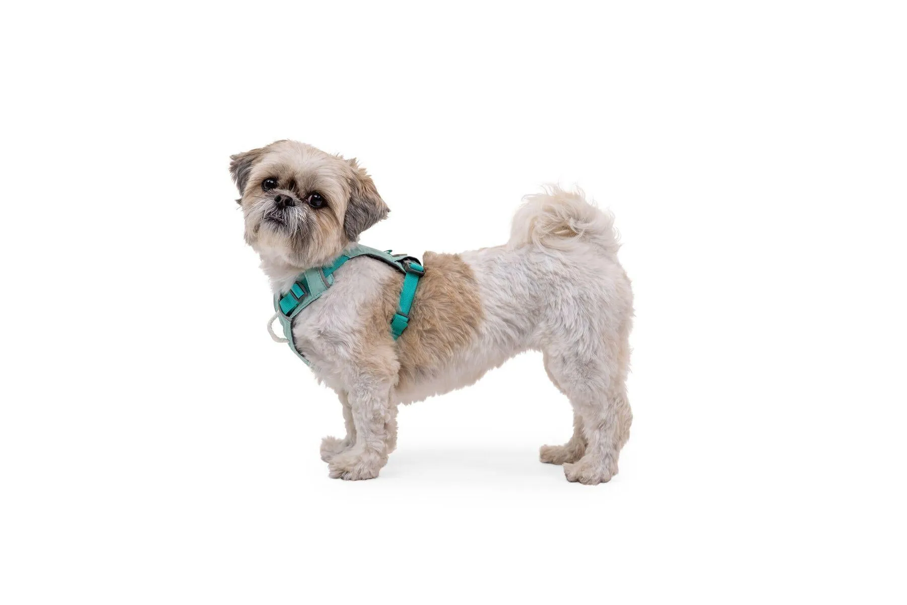Ruffwear Hi & Light Harness Sage Green