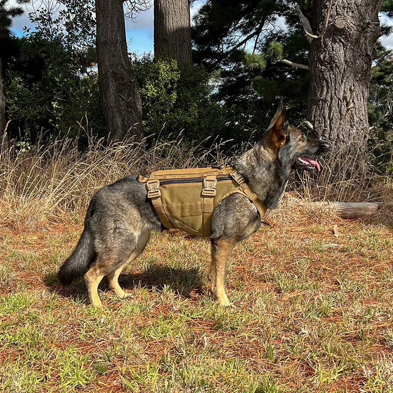 Sabre K9 Harness