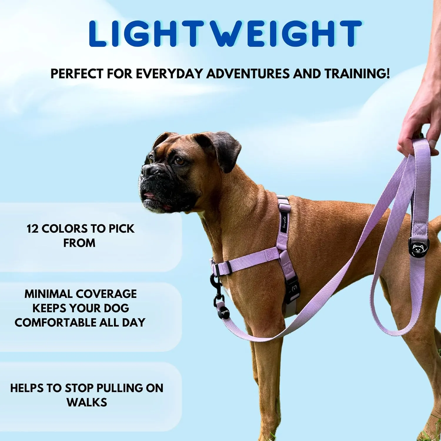 ShawnCo Dream Walk No-Pull Dog Harness- Adjustable, Comfortable, Easy to Use Pet Halter to Help Stop Pulling for Small, Medium and Large Dogs (Mustang Red, M)