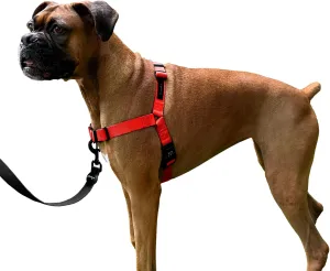 ShawnCo Dream Walk No-Pull Dog Harness- Adjustable, Comfortable, Easy to Use Pet Halter to Help Stop Pulling for Small, Medium and Large Dogs (Mustang Red, M)
