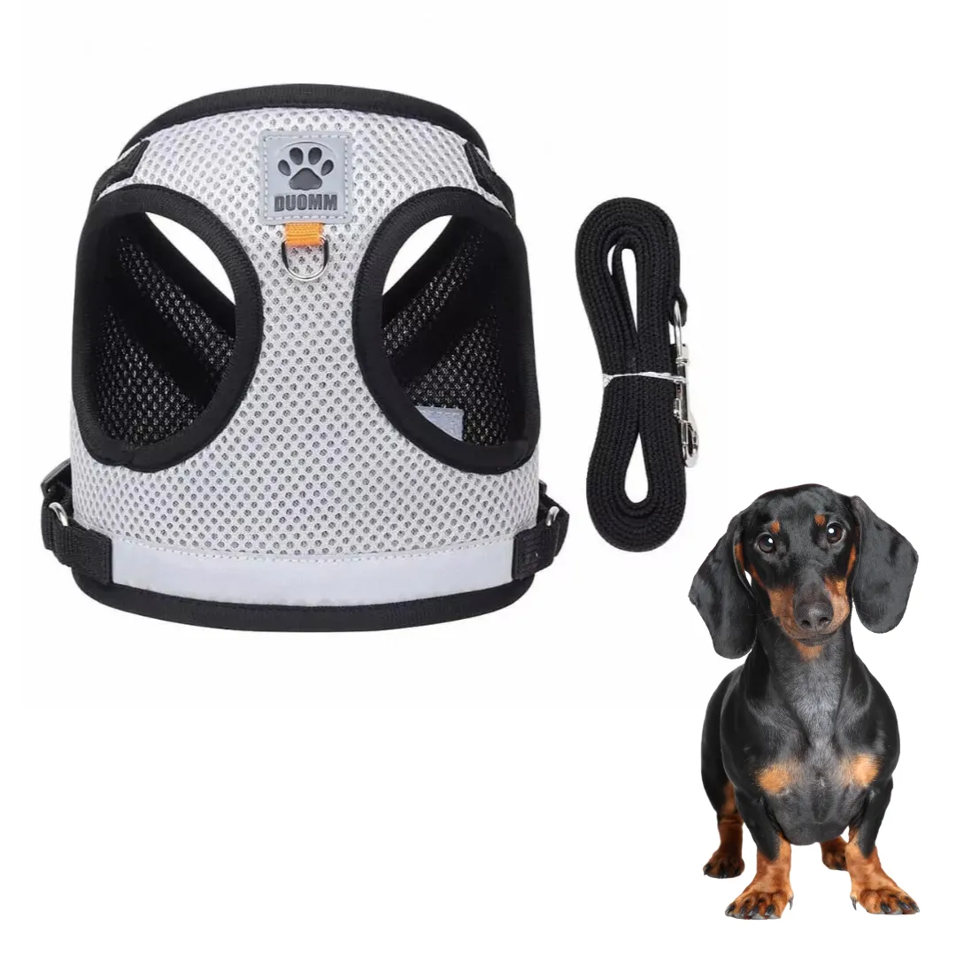 ShinePup Dachshund Reflective Harness with Leash